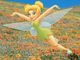 Tinkerbell flying flower field blue - a field of flowers free wallpaper
