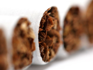 Cigarette closeup white background brown - deep depth of field free wallpaper