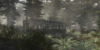 Train car forest trees bushes - tree and bushes free wallpaper