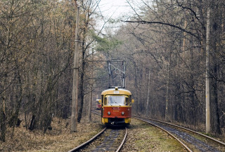 Train forest skyline cable wires - cable wire free wallpaper