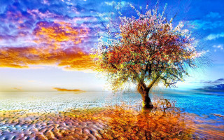 Tree sunset water colorful sky - impressionist painting free wallpaper