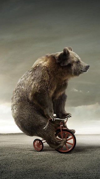 Bear riding tricycle cloudy sky - free motorcycles wallpaper for mobile