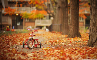 Red bicycle autumn leaves park 2 - tree and buildings free wallpaper