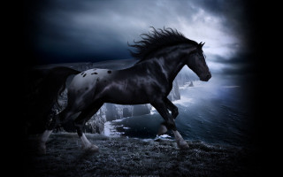 Horse ocean cliff gothic matte - a cliff in the background free wallpaper