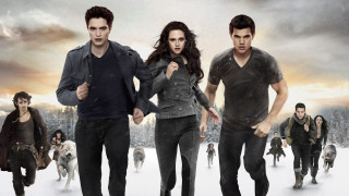 Twilight saga snow field walking - dog free wallpaper