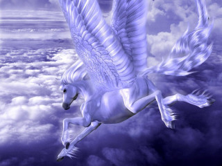 White horse wings flying sky - wing free wallpaper