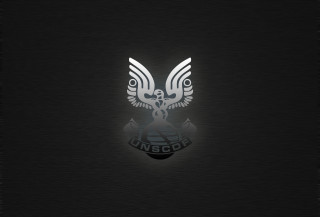 Black background white eagle image - a white eagle free wallpaper