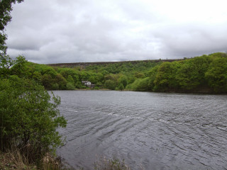 Boat river trees cloudy day - a house in the distance free wallpaper