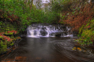 Small waterfall forest stream lush - a small waterfall in a forest free wallpaper