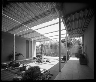 Black white patio pergola plants - david diao free wallpaper