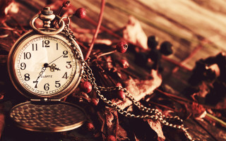 Pocket watch chain wood berries - a pocket watch free wallpaper