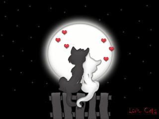 Cat dog fence hearts night - a full moon behind them free wallpaper