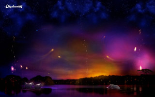 Night sky lake trees background - a few light free wallpaper