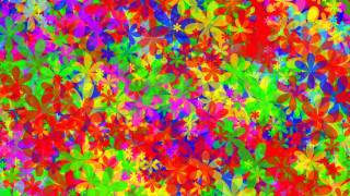 Colorful background flowers leaves vibrant - colorful flower free wallpaper