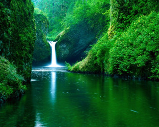 Waterfall green forest stream nature 8 - a green forest free wallpaper