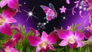 Butterfly flowers purple background stars - a butterfly free wallpaper for desktop