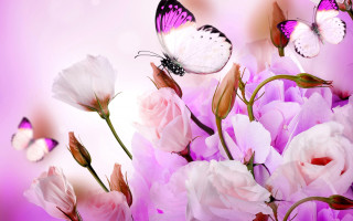 Flowers butterfly pink background white - over them free wallpaper
