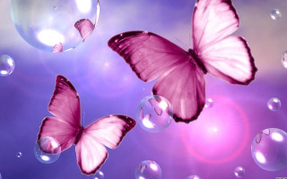 Butterflies bubbles flying purple background - anne stokes free wallpaper