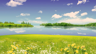 Beautiful green field flowers lake - bob ross free wallpaper