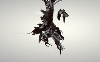 Black white bird flying gothic - its neck free wallpaper