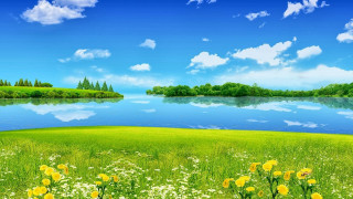 Lake yellow flowers blue sky - yellow flower free wallpaper