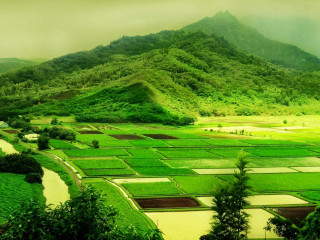 Green landscape mountains fields cloudy - a green landscape free wallpaper