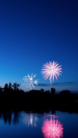 Fireworks display lake trees night - night free wallpaper