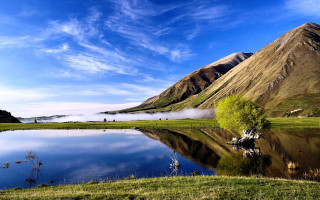 Lake mountains green field tree 2 - a tree in the foreground free wallpaper