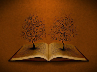 Book tree light red background - a red background free wallpaper