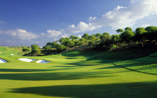 Green golf course hill trees - a hole in the middle of it free wallpaper