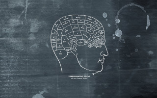 Brain map drawing head words - blueprint free wallpaper