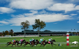 Horses racing track sky stadium - lyrical free wallpaper