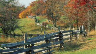 Wooden fence field trees hillside - in a field free wallpaper