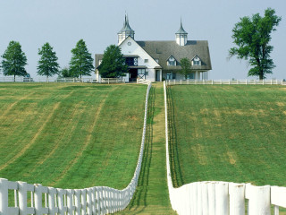 White house hill fence horse - a white house free wallpaper