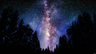Night sky stars trees foreground 4 - a bright light in the middle free wallpaper