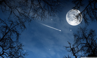 Plane flying night forest moon - a moon in the sky free wallpaper