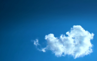 Cloud bird flying sky blue - a cloud free wallpaper