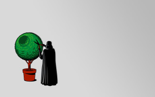 Person black cloak green tree - a green tree free wallpaper