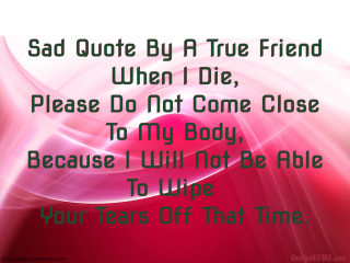 Pink white background quote friend - true free wallpaper