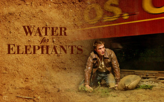 Man sitting ground train sign - elephant free wallpaper