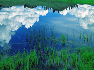 Large body water grass clouds - a small patch of grass free wallpaper