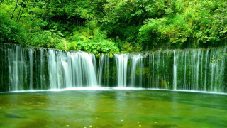 Waterfall green forest fish swimming - the middle of the picture free wallpaper