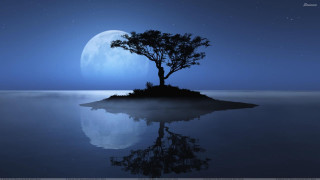 Tree island ocean night full 5 - david martin free wallpaper