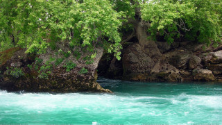 River rock formation trees growing - free spring wallpaper