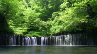 Waterfall forest clear blue water - green tree free wallpaper for desktop