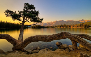 Tree lake mountains sunset dawn 3 - bob ross free wallpaper