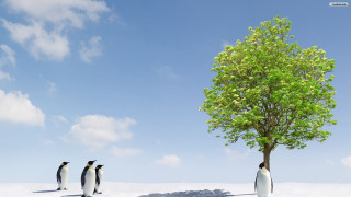 Three penguins tree snow sky - global free wallpaper