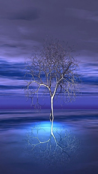 Lone tree reflection water nighttime - a purple sky free wallpaper for mobile