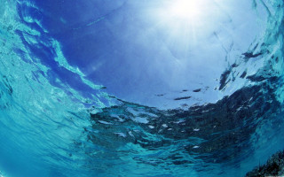 Underwater view of the water - underwater free wallpaper for desktop