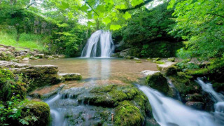Waterfall forest stream rocks trees - the center of the picture free wallpaper